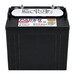 6 bater�as Buggy 8 Voltios 183 Ah | Trojan Pacer P-875